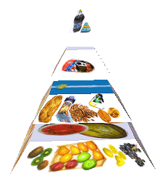 Potravinová pyramida