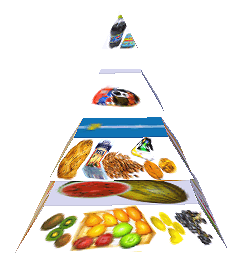 Potravinová pyramida
