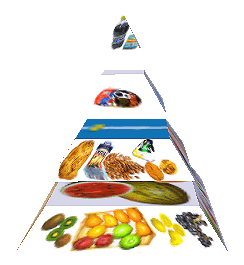 Potravinová pyramida