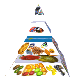 Potravinová pyramida