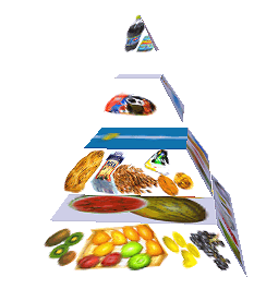 Potravinová pyramida