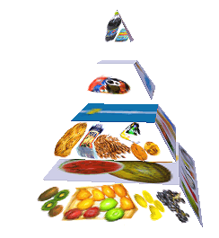 Potravinová pyramida