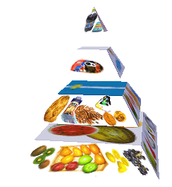 Potravinová pyramida