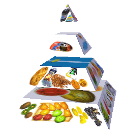 Potravinová pyramida