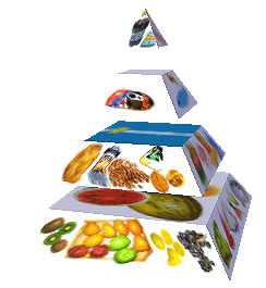 Potravinová pyramida