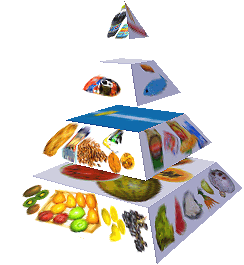 Potravinová pyramida