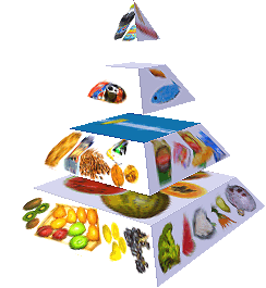 Potravinová pyramida