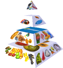Potravinová pyramida