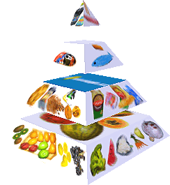 Potravinová pyramida