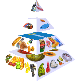 Potravinová pyramida