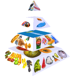 Potravinová pyramida
