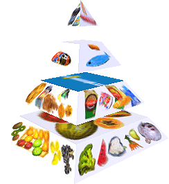 Potravinová pyramida