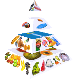 Potravinová pyramida