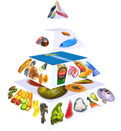 Potravinová pyramida