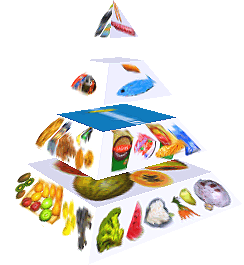 Potravinová pyramida