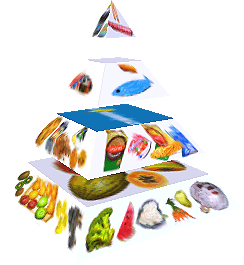 Potravinová pyramida