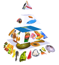 Potravinová pyramida