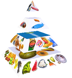 Potravinová pyramida