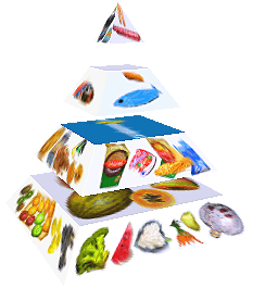 Potravinová pyramida