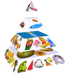 Potravinová pyramida