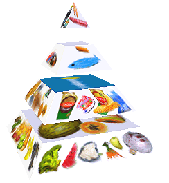 Potravinová pyramida