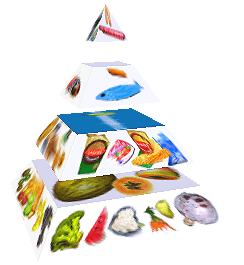 Potravinová pyramida