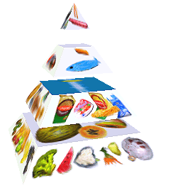 Potravinová pyramida