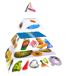 Potravinová pyramida