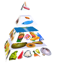 Potravinová pyramida
