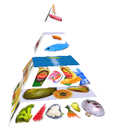Potravinová pyramida
