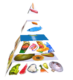 Potravinová pyramida