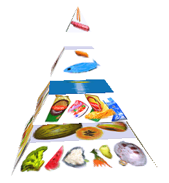 Potravinová pyramida