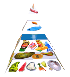 Potravinová pyramida
