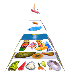 Potravinová pyramida