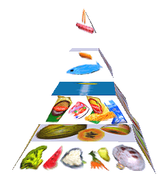 Potravinová pyramida
