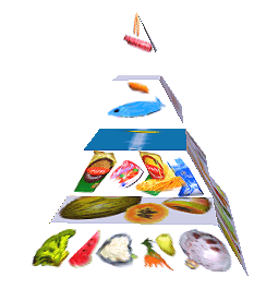 Potravinová pyramida