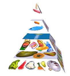 Potravinová pyramida