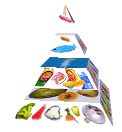 Potravinová pyramida