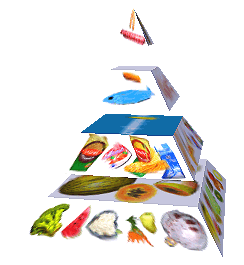 Potravinová pyramida