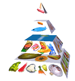 Potravinová pyramida