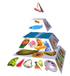 Potravinová pyramida