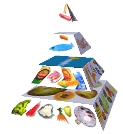 Potravinová pyramida