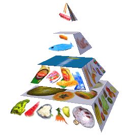 Potravinová pyramida