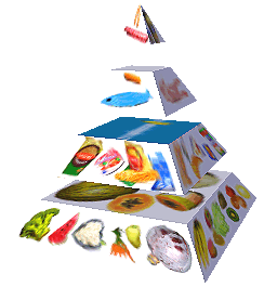 Potravinová pyramida