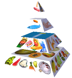 Potravinová pyramida