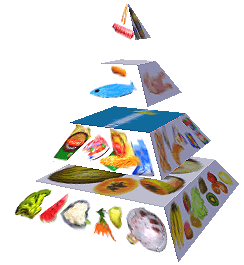 Potravinová pyramida