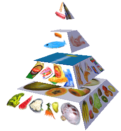 Potravinová pyramida