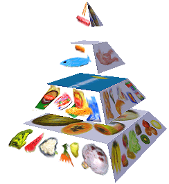 Potravinová pyramida