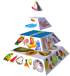 Potravinová pyramida