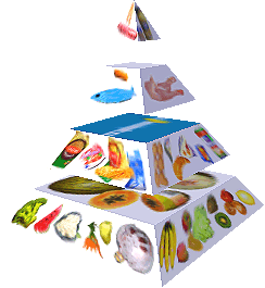 Potravinová pyramida